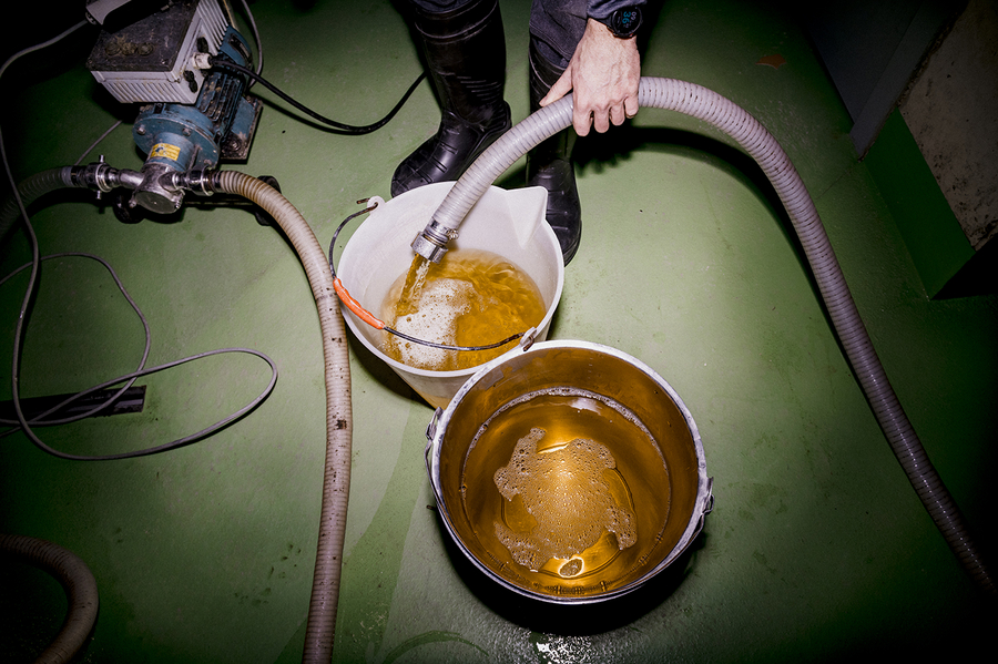 Weingut Josef Fischer in der Wachau beim Abfüllen des Jahrganges 2023 https://www.joseffischer.at/