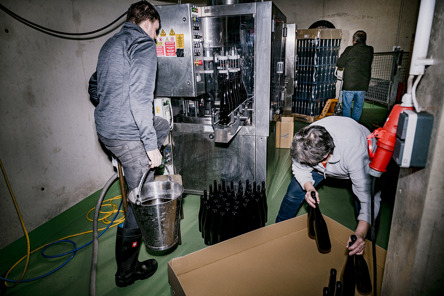 Weingut Josef Fischer in der Wachau beim Abfüllen des Jahrganges 2023 https://www.joseffischer.at/